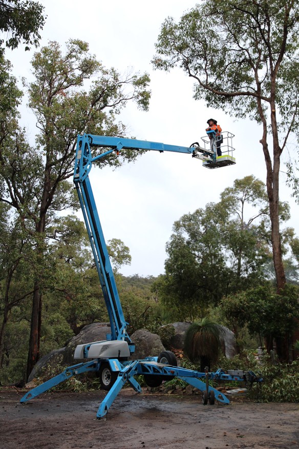 | Tree Pruning and Removal Stump Grinding